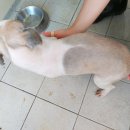 대송면 용암사 이미지