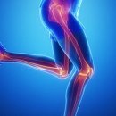 강동-길동-2 이미지