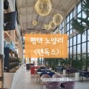 노양리 화장실 | 평택 대형 카페 <텐독스>