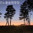 숲속노을로(1) 네이버블로그