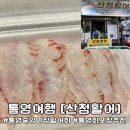 충무활어횟집 | 통영맛집 | 통영 중앙활어시장 회포장 [산청활어] 추천