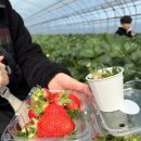 꼭지내농장 이미지