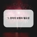 켄넬퀸비 이미지