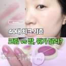 찬성방앗간 | 올영 기획 한정 놓치면 후회... 40대 치크 기준 바꾼 솔라틴트 캐니언, 크림 vs 밤