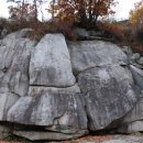 임원준 선생묘 이미지