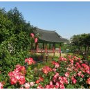 장미공원 이미지