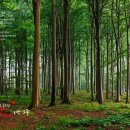 남한강파크 이미지