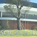 용추계곡 정각 옆 공용 이동식화장실 | 경남 남해 숙소추천 쏠비치남해 빌라 쏠레 풀/얼리체크인+재방문후기