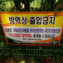 준향리목장 Daum카페