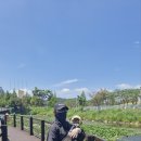 행복한강아지 - 목포시 수문로 26-1 | 행복한강아지