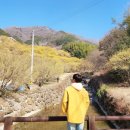 하위주택공원 이미지