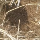 풍각초등학교 이미지