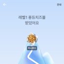 허니테크 | 토스 교촌치킨 허니콤보 페이스페이 이벤트 참여 솔직 후기(26.01.29)