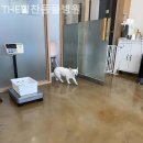 힘찬동물병원 이미지