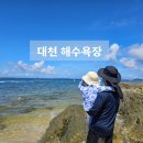 금강 어린이집 | [대천] 어린이집 방학맞이 함께하는 가족여행 대천보령 1박2일