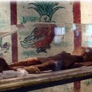 신강목장 이미지