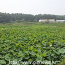 내동마을 이미지