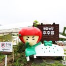 여주-1126 이미지