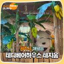 테디베어하우스 | 제주 애월 가볼만한곳 테디베어하우스 테지움