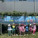 모덕유치원 이미지