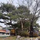 수안보상록호텔 | 수안보 온천 상록호텔 사우나 후기