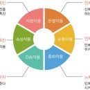 와와점핑