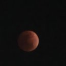 라온나라 이미지