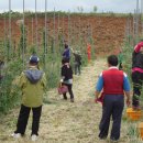 한민농장 이미지