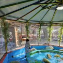 국민힐링 | 경주 국민힐링파크 방문 후기