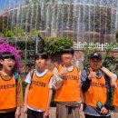 용인대서울태권도장 이미지