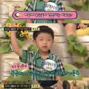 북극곰스튜디오 이미지