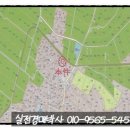 비다펠리스 이미지