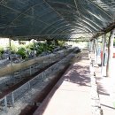 일영모자농원캠핑장 이미지