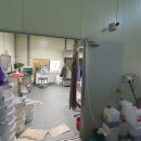 강서구-45 이미지