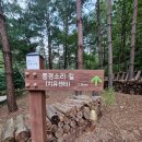 삼척활기자연휴양림 이미지