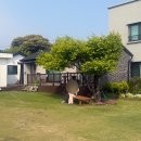 성산읍 신산포구 | 아기랑 제주살이 숙소 추천, 돌아기랑 제주도 2주살이 그등애쉼팡 별채 후기