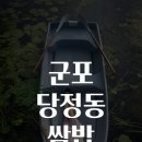 당정동