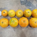 위미사랑하우스 이미지