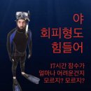 하우스피스