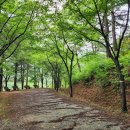 황토메타길 이미지