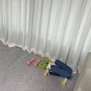 아령 | 일자허리 홈트 입문템 멜킨 미용아령 여자 아령 운동 후기