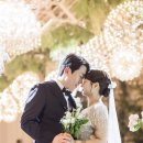 메리스냅 네이버블로그