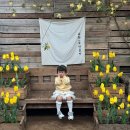 놀멍 | 제주여행 첫째날 , 김포공항 2살 4살 아기와 비행팁 , 아기랑 제주 VIPS 빕스 , 비오는날 보롬왓