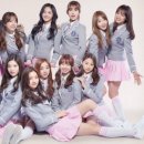 픽미픽미 이미지