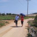 태순농장 이미지