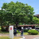 구월1동-6 이미지