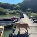 고삼지 | 9월 고삼지 배스 낚시 눈물나는 배스캠프 첫 보팅 후기