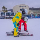 에이스핏(Ace Fit) | 평창 휘닉스파크 렌탈샵 리프트권 시간 가격 강습 픽업 에이스 샵에서