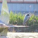 카페수련 이미지