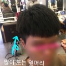 맨인살롱 이미지